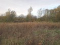 /album/my-local-birding-gallery/centre-area-of-thornhill-wetlands-reserve-with-some-trees-removed-to-create-more-light-jpg/